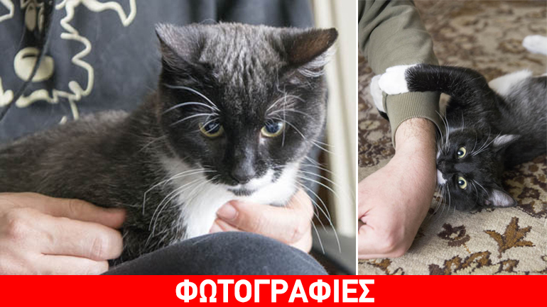 Υιοθετήστε τη Λούσυ και αποκτήστε μια παντοτινή φίλη