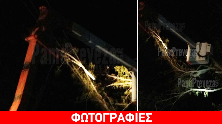 Το δέντρο βύθισε στο σκοτάδι τη μισή Πρέβεζα