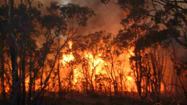 Σε εξέλιξη πυρκαγιά στον Πύργο