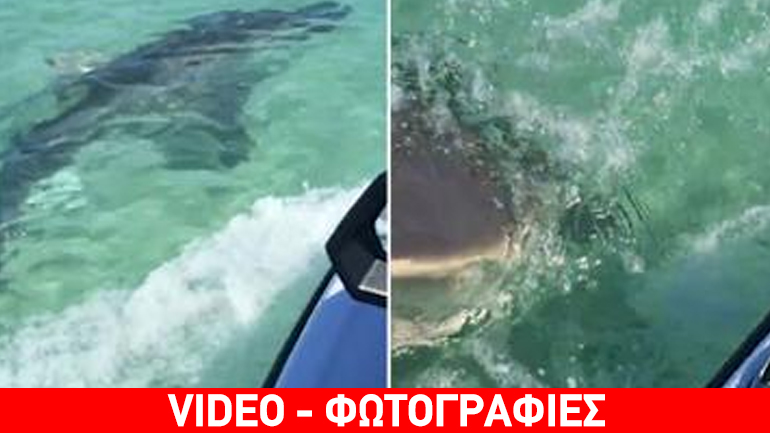 Αυστραλία: Καρέ-καρέ η επίθεση καρχαρία σε ζευγάρι που επέβαινε σε τζετ σκι