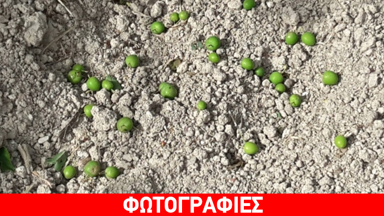 Κρήτη: Τα πήρε και τα σήκωσε ο νοτιάς…