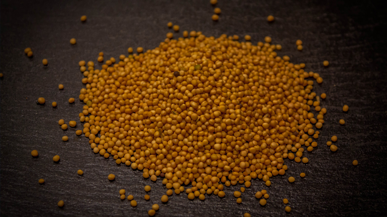 Πειραιάς: Απαγόρευση εισαγωγής 23 τόνων σιναπόσπορου λόγω μούχλας