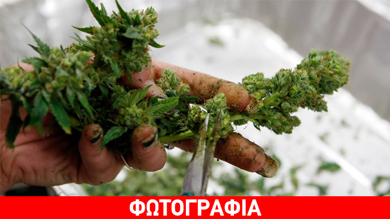 Θεσσαλονίκη: Είχαν στην κατοχή τους 23 κιλά κάνναβη