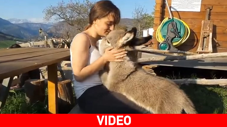 Γαϊδουράκι λιώνει στην αγκαλιά νεαρής φίλης του