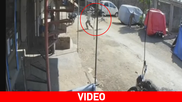 Μαϊμού… νίντζα ρίχνει κάτω περαστικό!