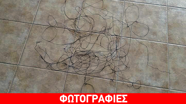 Κρήτη: Πήραν στο… κυνήγι τον λαθροκυνηγό