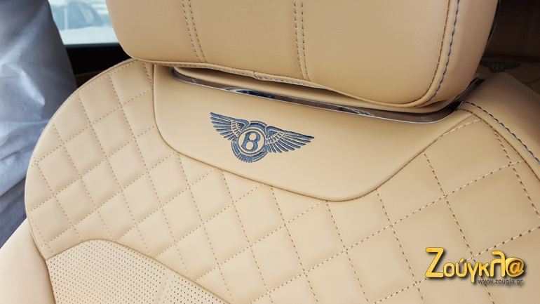 Το σήμα της μάρκας ραμμένο στα καθίσματα που είναι καλυμμένα με δέρματα τύπου καπιτονέ...