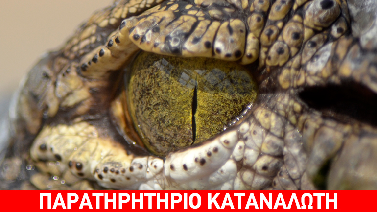 Δέσμευσαν κρέας κροκόδειλου και πύθωνα στου Ρέντη