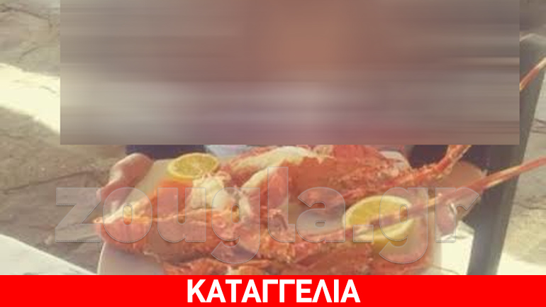 Συμπονεί τους πρόσφυγες με ουζάκι και αστακοκαραβίδα