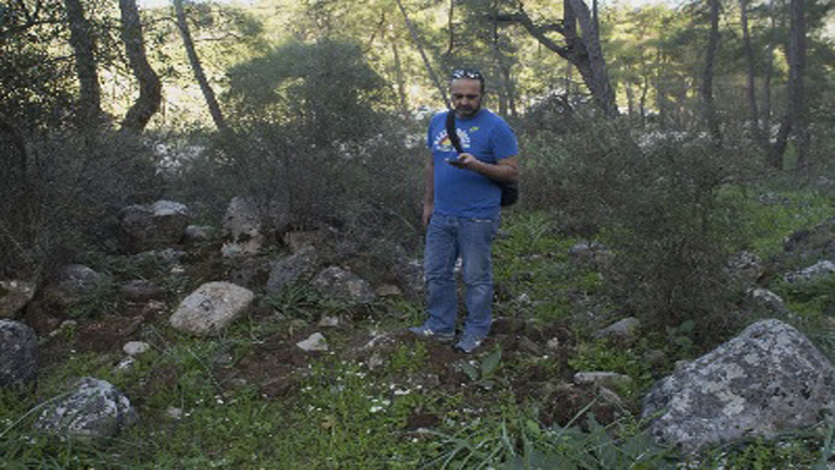 Η κατανάλωση σαλεπιού εξαφανίζει τις ορχιδέες σε Ελλάδα και Τουρκία