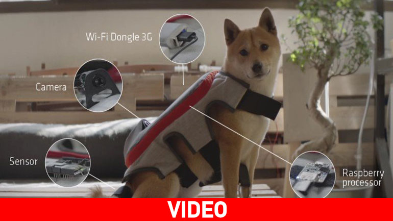 Γιλέκο για σκύλους που τους επιτρέπει να ανεβάζουν selfies στο Facebook