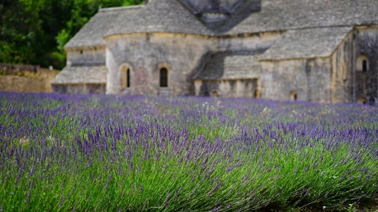 Το πράσινο χαρίζει περισσότερα χρόνια ζωής στις γυναίκες