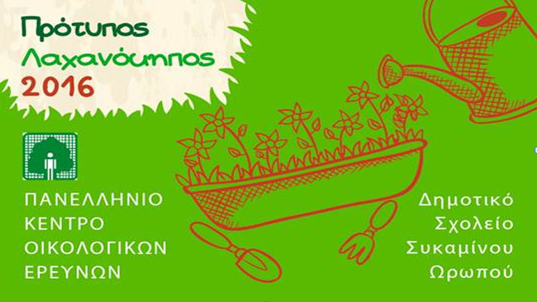 Πρωτότυπος λαχανόκηπος στον Ωρωπό από το ΠΑΚΟΕ