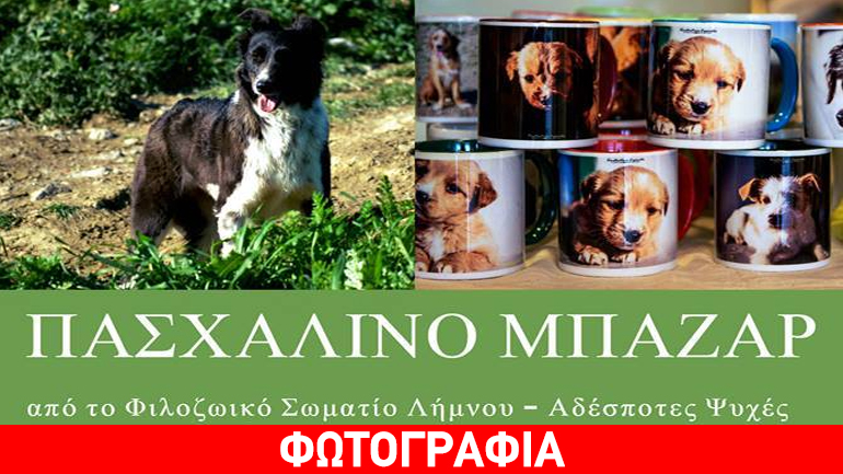 Πασχαλινό bazaar από το Φιλοζωικό Σωματείο Λήμνου