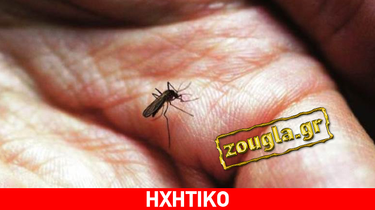 Καμπανάκι για τον κίνδυνο από την πρόωρη εμφάνιση κουνουπιών