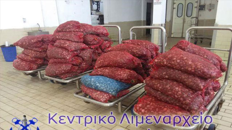 Κατάσχεση ακατάλληλων οστράκων στην Αλεξανδρούπολη