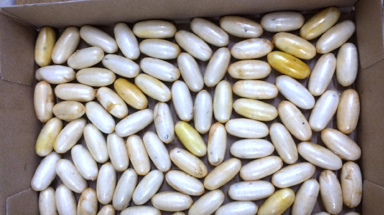 Γυναίκα-βαποράκι κατάπιε 88 συσκευασίες κοκαΐνης, αλλά συνελήφθη στο «Ελευθέριος Βενιζέλος»