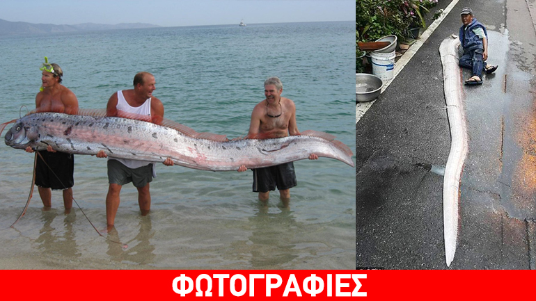 Ψαράδες στην Ταϊβάν αλίευσε θαλάσσιο φίδι μήκους… πέντε μέτρων!