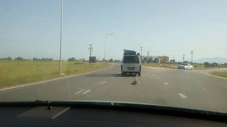 Φρίκη στην Ξάνθη: Έδεσε σκυλί στο αμάξι του και το έσερνε στον δρόμο!