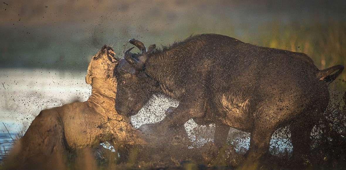 Τιτανομαχία