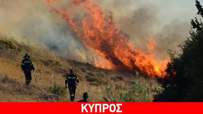 Κύπρος: Υπό έλεγχο μεγάλη πυρκαγιά που ξέσπασε στο Παραλίμνι