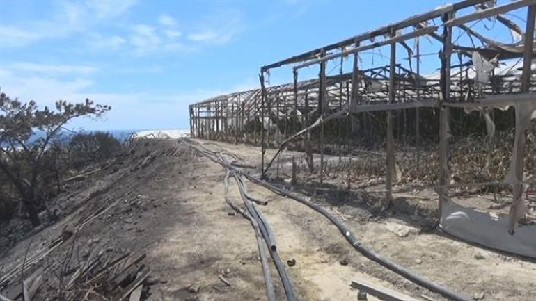 Ξεκίνησε η καταγραφή των ζημιών από τη φωτιά στην Ιεράπετρα