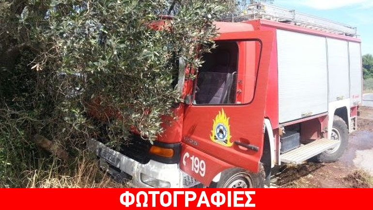 Στυλίδα: Πυροσβεστικό «πάρκαρε» μέσα στις ελιές Στυλίδα: Πυροσβεστικό «πάρκαρε» μέσα στις ελιές