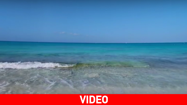 Απολαύστε μια εικονική κρουαζιέρα σαν να έχετε πάει διακοπές…