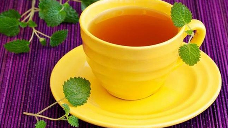 Μελισσόχορτο: Το ελιξήριο της νεότητας