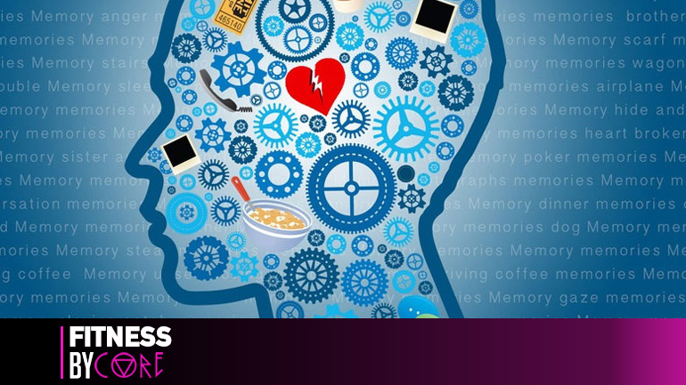 Με αυτά τα δύο βότανα θα αποκτήσεις μνήμη ελέφαντα