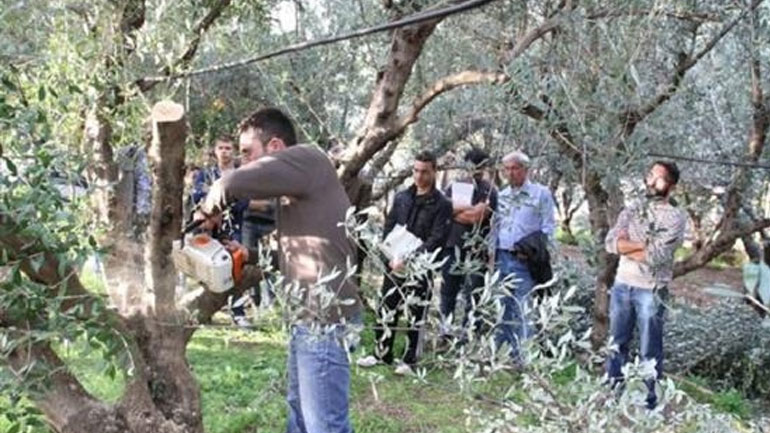 Διημερίδα για την ελαιοκαλλιέργεια στη Σαμοθράκη
