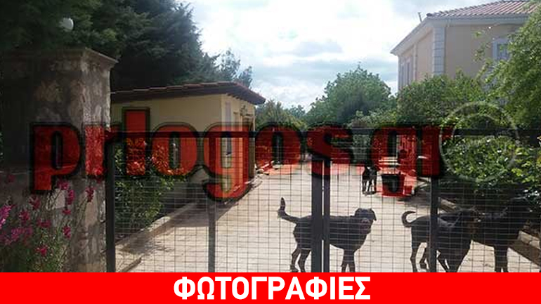 Κοζάνη: Εικόνες μέσα από το σπίτι του 72χρονου ιδιοκτήτη των ροτβάιλερ