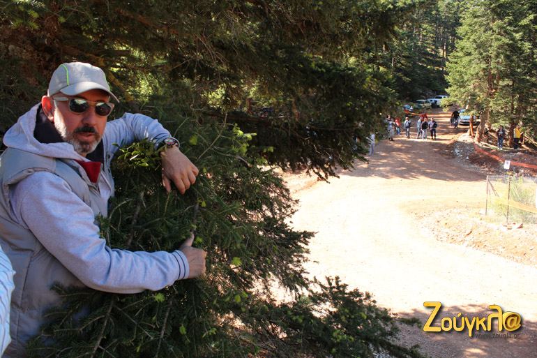 Το... άτιμο το κλαδί!