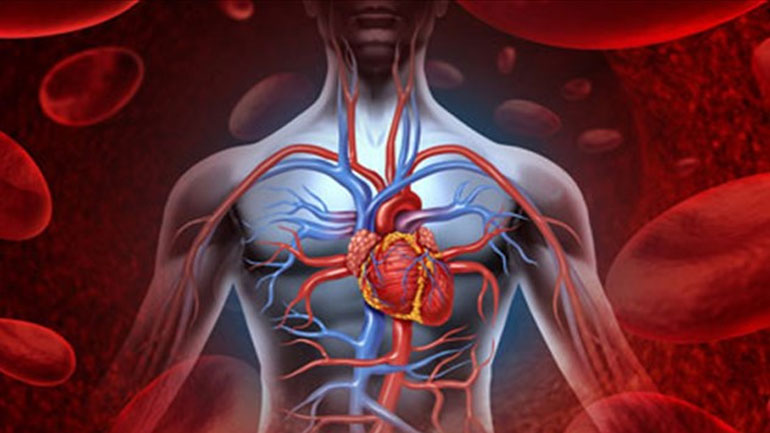 Δεδομένα του σώματος που ίσως δε γνωρίζετε Δεδομένα του σώματος που ίσως δε γνωρίζετε