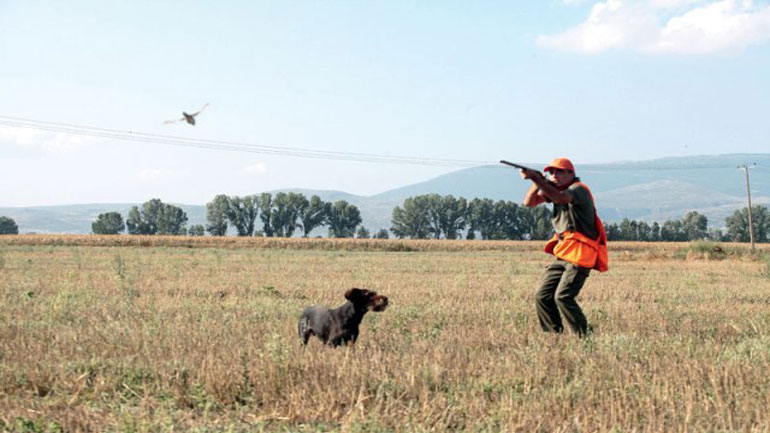 Παράταση 10 ημερών στον εθνικό διάλογο για το κυνήγι