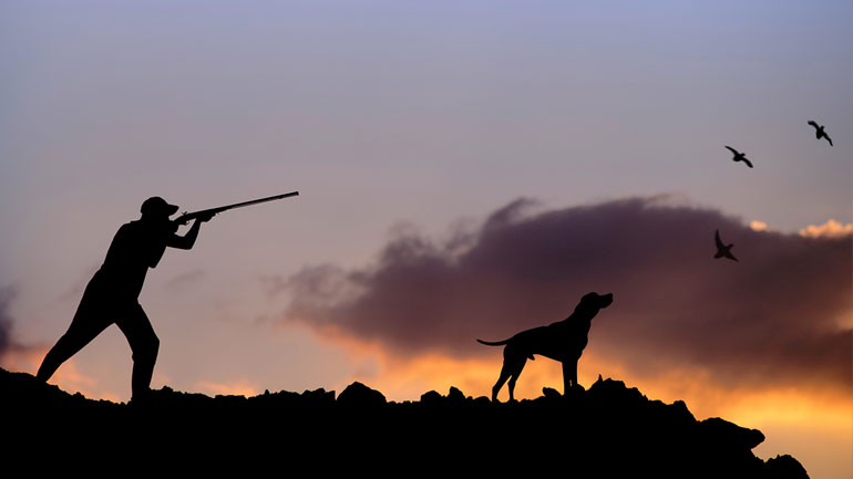Δεκαήμερη παράταση στον εθνικό διάλογο για το κυνήγι