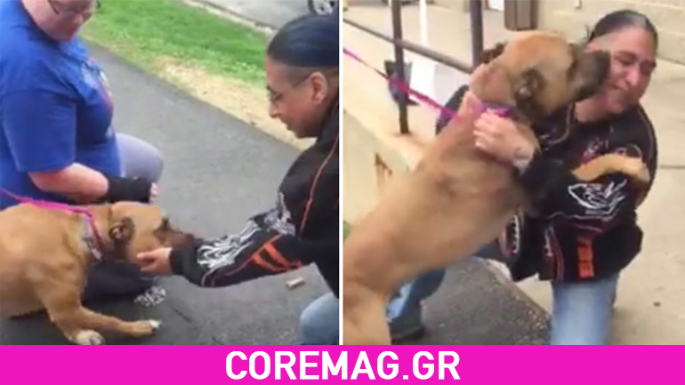 Βρήκε τον σκύλο του μετά από δύο χρόνια