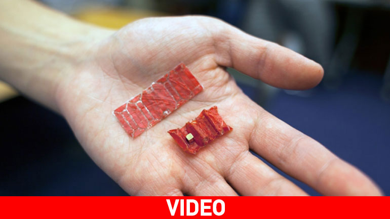 Origami ρομπότ σε μορφή χαπιού μπορεί να εγχειρήσει το στομάχι σας εκ των έσω