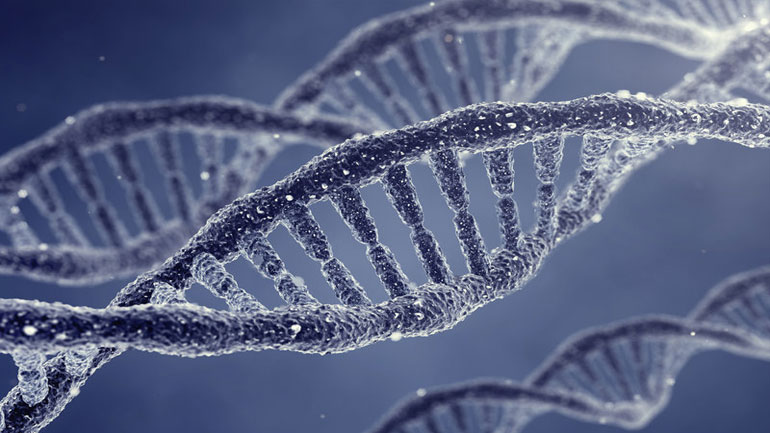 Μυστική συνάντηση επιστημόνων στο Χάρβαρντ προκαλεί αντιδράσεις – Θέλουν να δημιουργήσουν ανθρώπινο γονιδίωμα