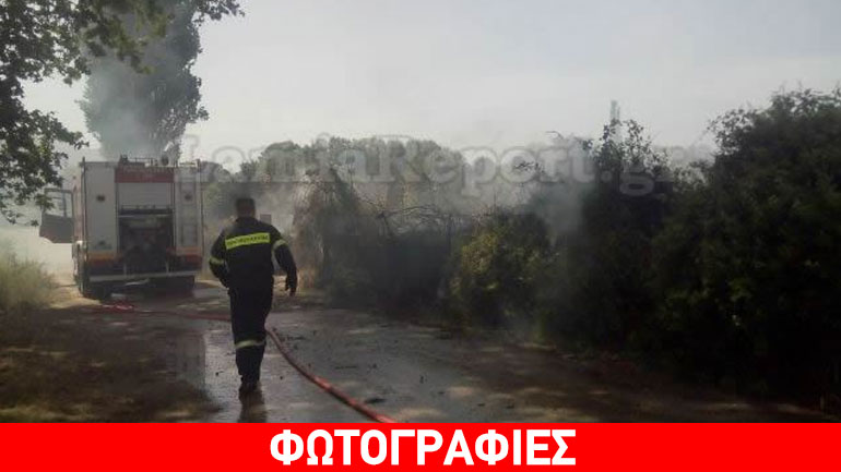 Λαμία: Φωτιά έκαψε πέντε στρέμματα – Πρόλαβαν τα χειρότερα οι πυροσβέστες