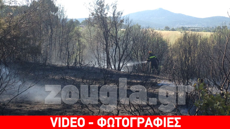 Υπό μερικό έλεγχο η δασική πυρκαγιά στον Άγιο Στέφανο