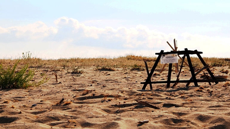Στη Ζάκυνθο η πρώτη φωλιά της καρέτα καρέτα το 2016