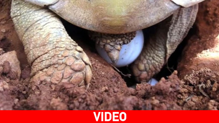 Καστοριά: Το μεγαλείο της φύσης…