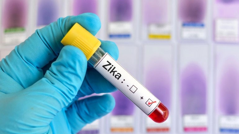 Συναγερμός από τον ΠΟΥ: Ο ιός Ζίκα έρχεται στην Ευρώπη!