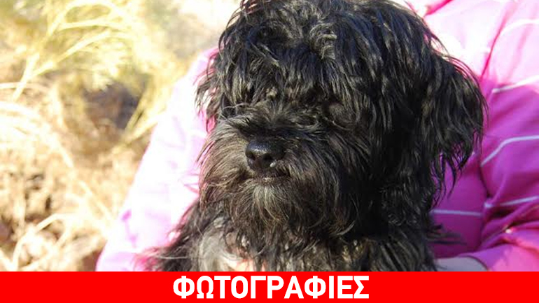 Παιανία: Χαρίζεται η Safran