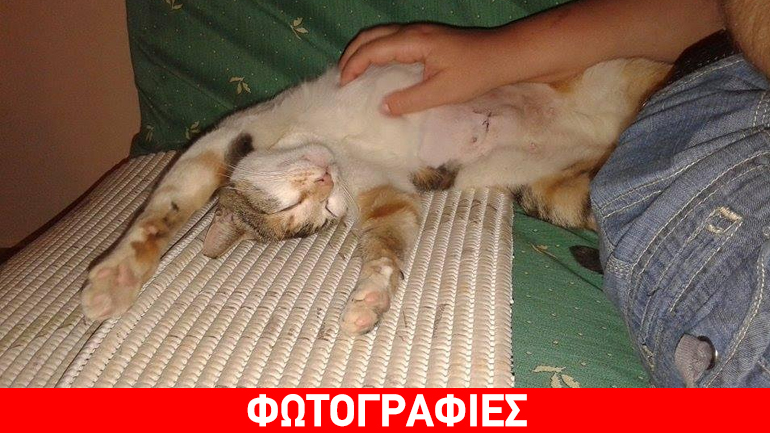 Δώστε ελπίδα στην… Ελπίδα!