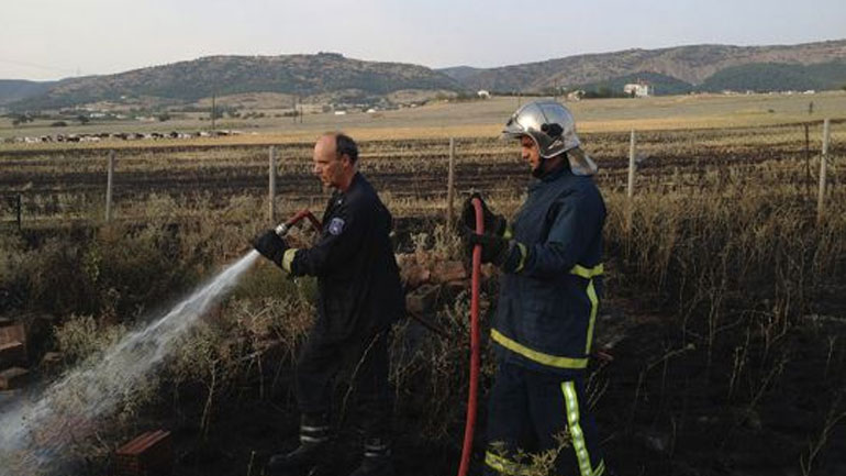 Βόλος: Κάηκαν μελίσσια και χόρτα από πυρκαγιά στο Διμήνι