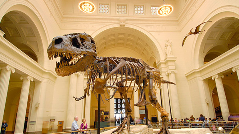 Μουσείο πολιτικών σκελετών