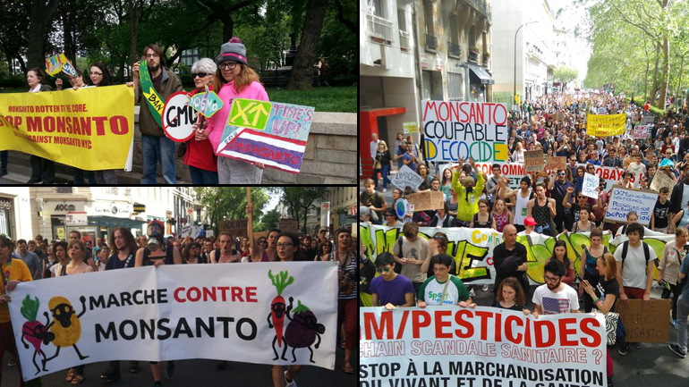 Ενωμένοι εναντίον της Monsanto