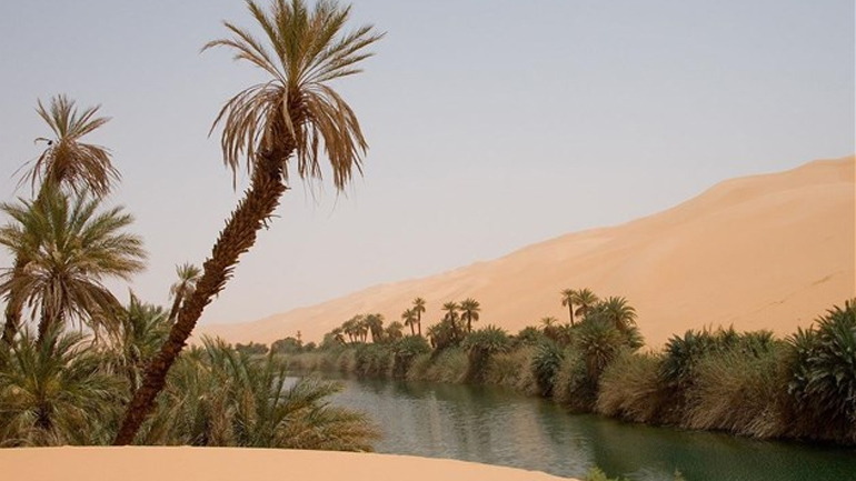 Το «Μεγάλο Πράσινο Τείχος» της Αφρικής θα καταπολεμήσει τη φτώχεια μαζί με την ερημοποίηση